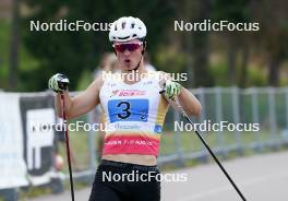 18.07.2024, Madona, Latvia (LAT): Bohdan Nikulin (UKR) - FIS Rollerski World Cup, team sprint, Madona (LAT). www.nordicfocus.com. © Koksarovs/NordicFocus. Every downloaded picture is fee-liable.