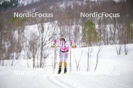 07.04.2024, Bardufoss-Finnsnes, Norway (NOR): Thomas Oedegaarden (NOR) - Ski Classics Summit 2 Senja, Bardufoss-Finnsnes (NOR). www.nordicfocus.com. © Reichert/NordicFocus. Every downloaded picture is fee-liable.