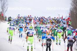 07.04.2024, Bardufoss-Finnsnes, Norway (NOR): Undefined athletes compete at the start - Ski Classics Summit 2 Senja, Bardufoss-Finnsnes (NOR). www.nordicfocus.com. © Reichert/NordicFocus. Every downloaded picture is fee-liable.