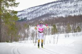 07.04.2024, Bardufoss-Finnsnes, Norway (NOR): Thomas Oedegaarden (NOR) - Ski Classics Summit 2 Senja, Bardufoss-Finnsnes (NOR). www.nordicfocus.com. © Reichert/NordicFocus. Every downloaded picture is fee-liable.