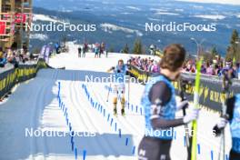 13.04.2024, Hafjell, Norway (NOR): Axel Jutterstroem (SWE) - Ski Classics Grand Finale Janteloppet - Hafjell (NOR). www.nordicfocus.com. © Reichert/NordicFocus. Every downloaded picture is fee-liable.