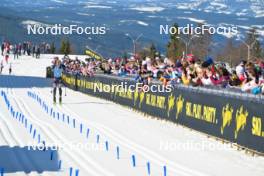 13.04.2024, Hafjell, Norway (NOR): Torleif Syrstad (NOR) - Ski Classics Grand Finale Janteloppet - Hafjell (NOR). www.nordicfocus.com. © Reichert/NordicFocus. Every downloaded picture is fee-liable.